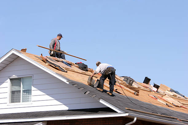 Best Roof Coating and Sealing  in Meadview, AZ